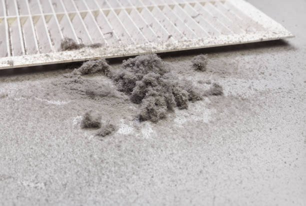 Best Emergency Air Duct Cleaning  in Le Sueur, MN
