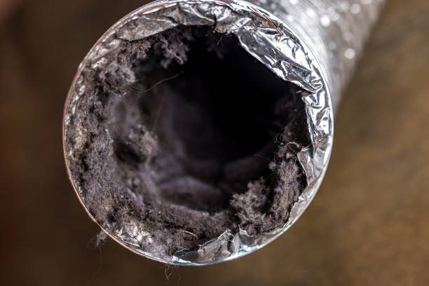 Best Residential Air Duct Cleaning  in Le Sueur, MN